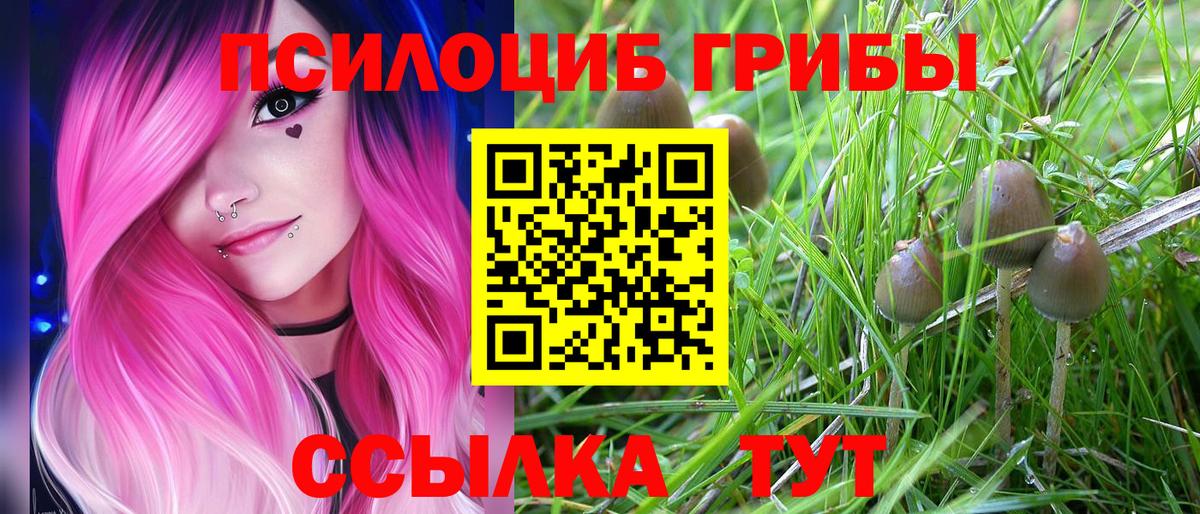 Галлюциногенные грибы мухоморы  Псилоцибиновые грибы GOLDEN TEACHER  Белореченск  Вход с VPN 